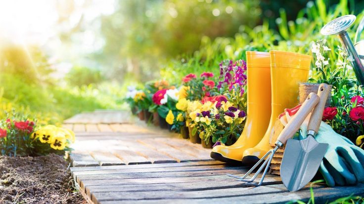 Bahçe Bakım ve Peyzaj Hizmetleri