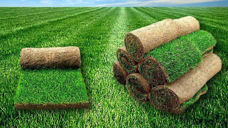 Rulo Hazır Çim Uygulaması